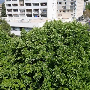 Neva Apartment Split